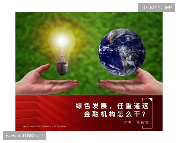 万达国际输出挑战与未来发展战略分析
